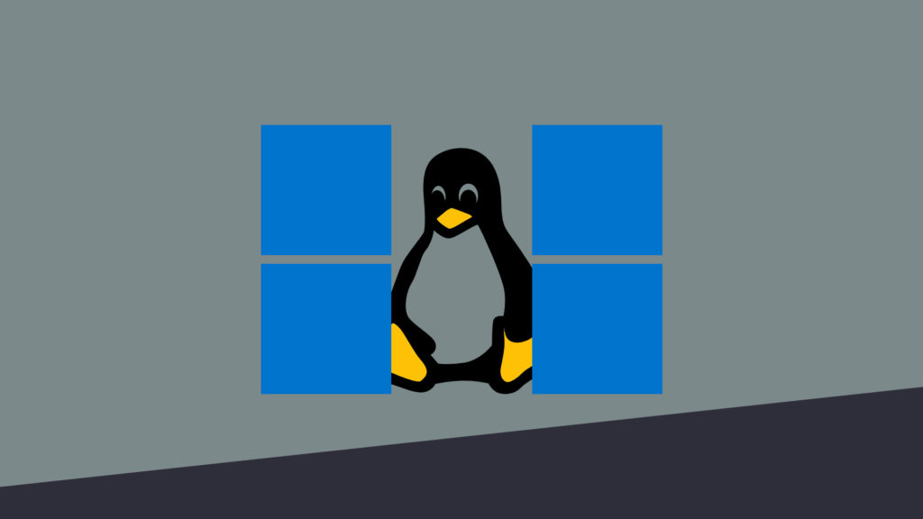 switch from windows to linux