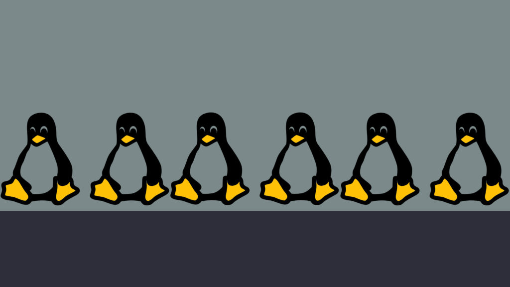 top 5 linux distributions