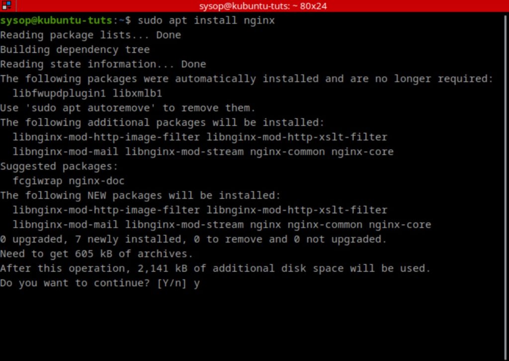 install nginx web server