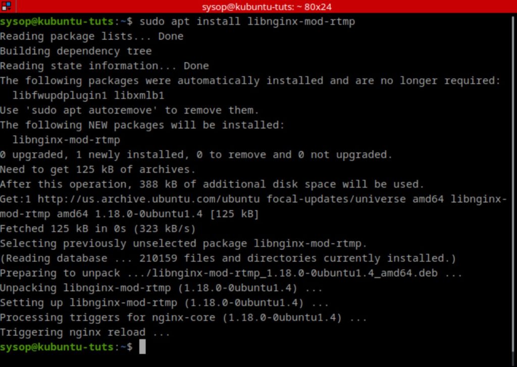 install nginx rtmp module