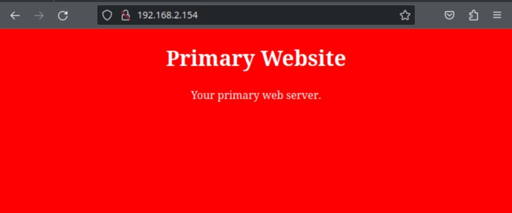 primary nginx reverse proxy web server