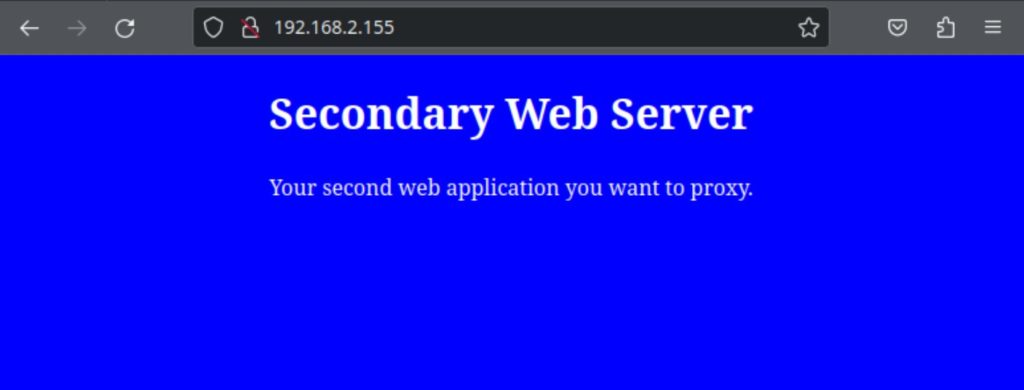 secondary nginx reverse proxy web server
