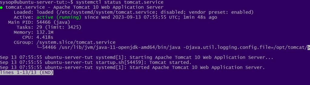 check status of tomcat