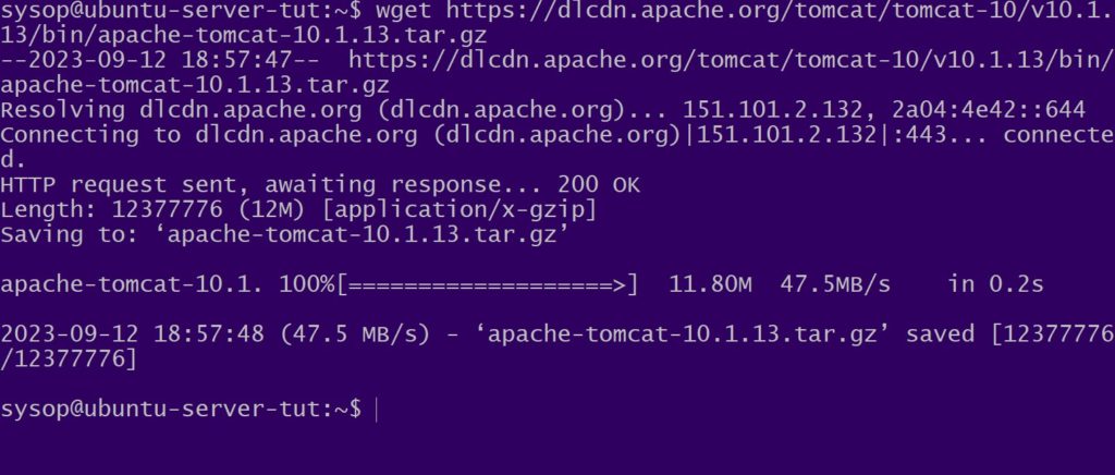 download apache tomcat 10